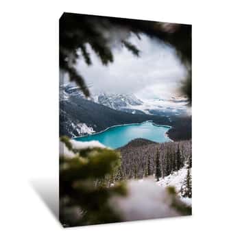 Image of Through the Trees Canvas Print