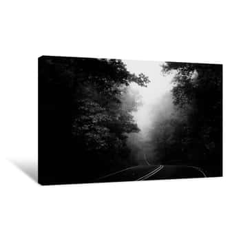 Image of Road Through the Autumn Forest BW Canvas Print