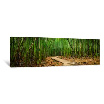 Image of Bamboo Forest    Canvas Print