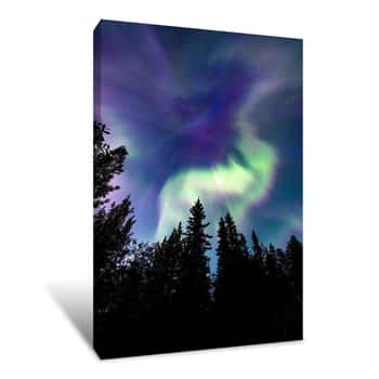 Image of Up in the Sky Canvas Print