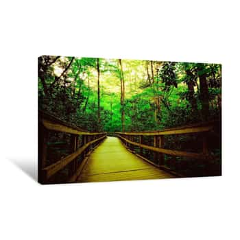 Image of Wood Bridge Through the Green Forest Canvas Print