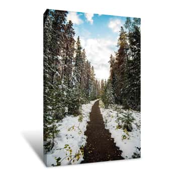 Image of Winter Path Canvas Print
