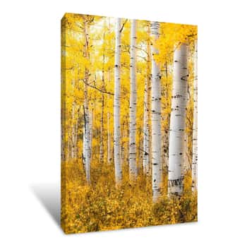 Image of Yellow Forest Canvas Print