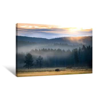 Image of Yellowstone at Dawn Canvas Print