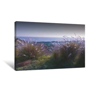 Image of Above Mailbu Canvas Print