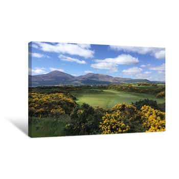Image of Royal County Down Golf Course Canvas Print