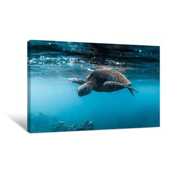 Image of Below the Surface Canvas Print