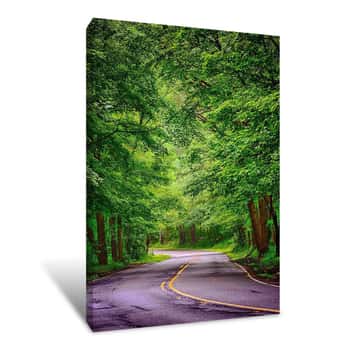 Image of Green Forest Surrounding a Road Canvas Print
