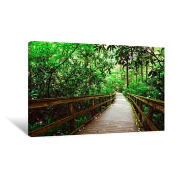 Image of Wood Bridge Through the Green Forest 2 Canvas Print