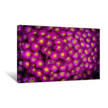 Image of Purple Flower Patch Overhead Canvas Print