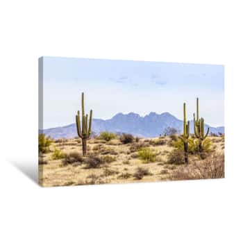 Image of The Four Peaks And Saguaros - Central Arizona Desert Canvas Print