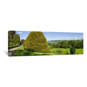 Image of Shades of Green - Powis Castle and Garden - Welshpool, Wales UK Canvas Print