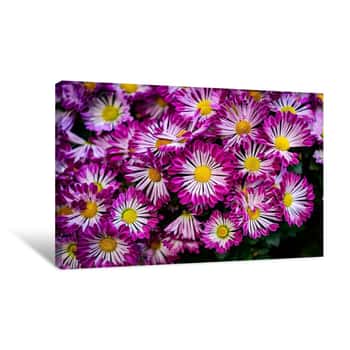 Image of Cluster of Purple Flowers Canvas Print