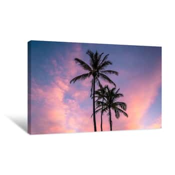 Image of Morning Palms Canvas Print