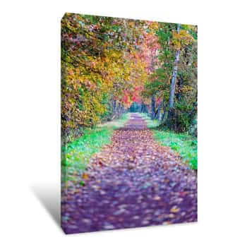 Image of Fallen Leaves on a Trail 2 Canvas Print