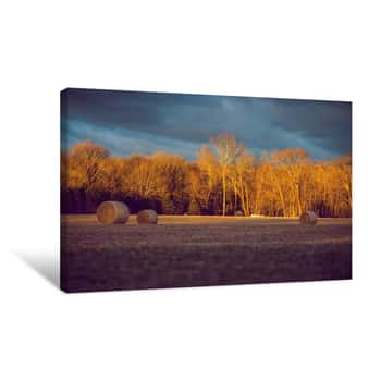 Image of Hay Barrels in the Barren Forest Canvas Print