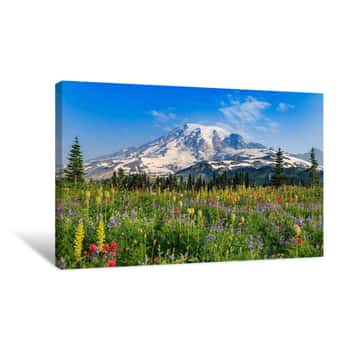 Image of Mount Rainier Paradise In Full Bloom Canvas Print