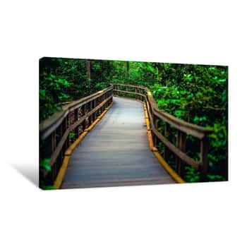Image of Path Through the Forest 2 Canvas Print
