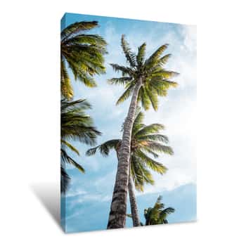 Image of Sunny Palms Canvas Print