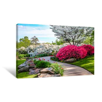Image of Curved Path Through Banks Of Azeleas And Under Dogwood Trees With Tulips Under A Blue Sky - Beauty In Nature Canvas Print