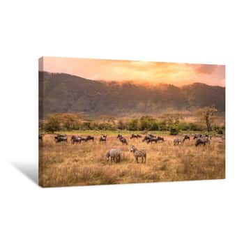 Image of Landscape Of Ngorongoro Crater -  Herd Of Zebra And Wildebeests (also Known As Gnus) Grazing On Grassland  -  Wild Animals At Sunset - Ngorongoro Conservation Area, Tanzania, Africa Canvas Print