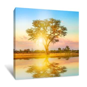 Image of African Tree At Sunrise Reflected On A Pond  Serengeti Wildlife Area In Tanzania, East Africa  Africa Safari Scene In Savannah Landscape  Canvas Print