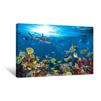 Image of Underwater Paradise Background Coral Reef Wildlife Nature Collage With Shark Manta Ray Sea Turtle Colorful Fish Background Canvas Print