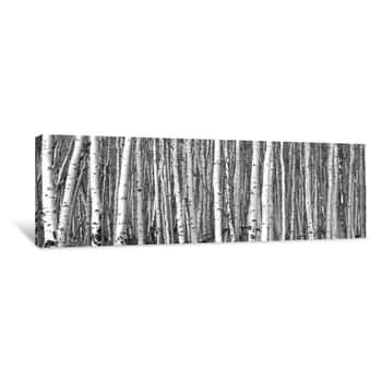 Image of Black And White Trees Background Pattern Canvas Print