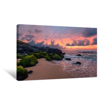 Image of Maui Pink Sunset II Canvas Print