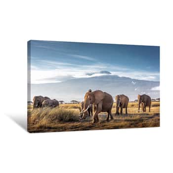 Image of Herd Of African Elephants In Front Of Kilimanjaro Canvas Print