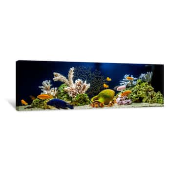 Image of Freshwater Aquarium Decorated In Pseudo-sea Style  Aqua Scape And Aqua Design  Canvas Print