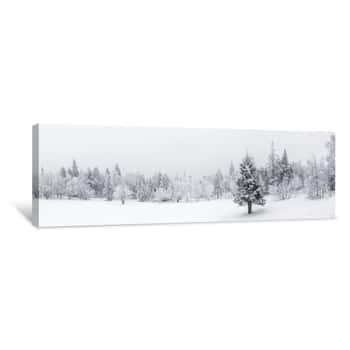 Image of Winter Landscape  Taganay National Park, Chelyabinsk Region, South Ural, Russia Canvas Print