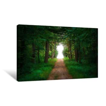 Image of Straight Path Leading Into A Forest Clearing Formed As A Keyhole Canvas Print