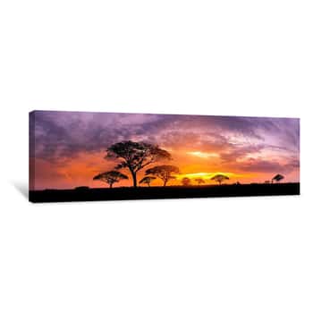 Image of Panorama Silhouette Tree In Africa With Sunset Tree Silhouetted Against A Setting Sun Dark Tree On Open Field Dramatic Sunrise Typical African Sunset With Acacia Trees In Masai Mara, Kenya Canvas Print