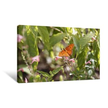 Image of Butterfly 1 Canvas Print