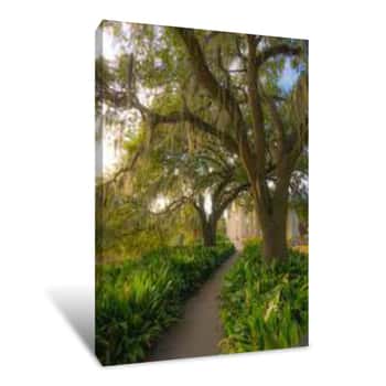 Image of Dream Place In The Beautiful City Park Of New Orleans  Canvas Print