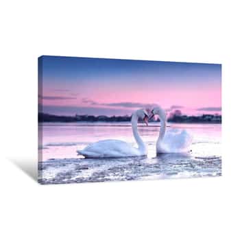 Image of The Romantic White Swan Couple Swimming In The River In Beautiful Sunset Colors  Swans Symbolize The Pure Love And Greatness Of Beings  Canvas Print