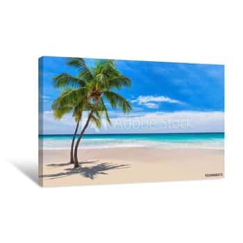 Image of Sunny White Sand Beach With Coconut Palm And Turquoise Sea  Summer Vacation And Tropical Beach Concept  Canvas Print