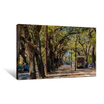 Image of New Orleans Street Car In The Live Oak Trees Canvas Print