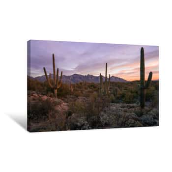 Image of Desert Sunset In Tucson Arizona   Canvas Print