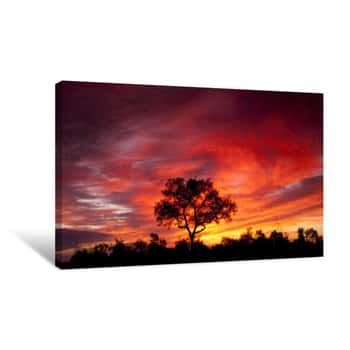 Image of African Sunset In The Kruger National Park, South Africa Canvas Print