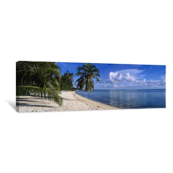 Image of Palm Trees On The Beach, Matira Beach, Bora Bora, French Polynesia Canvas Print