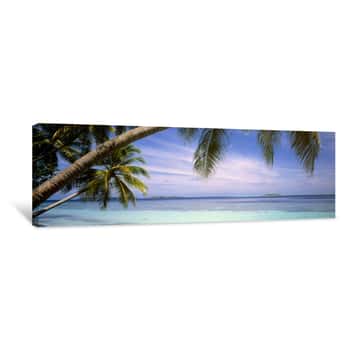 Image of Staring Into the Distance Canvas Print