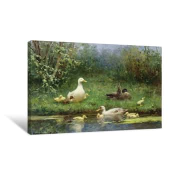 Image of Ducks on a Riverbank Canvas Print