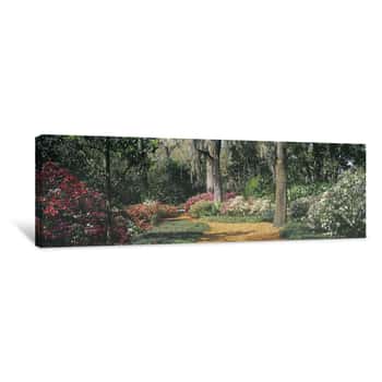 Image of Spring Azaleas - Bok Tower Gardens - Lake Wales, Florida Canvas Print