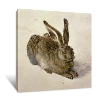 Image of Hare Canvas Print