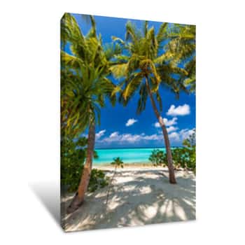 Image of Tropical Beach In Maldives With Palm Trees And Vibrant Lagoon Canvas Print
