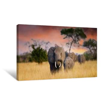 Image of A Herd Of Wild Elephants Walk Through The Savanna Of Tarangire National Park In Tanzania, East Africa Canvas Print