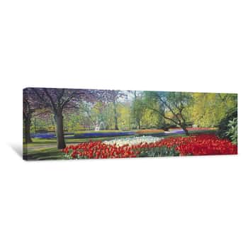 Image of Colors of Spring - Keukenhoff Gardens, Holland Canvas Print