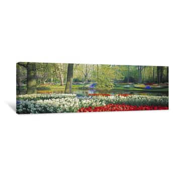 Image of Tulips Forever - Keukenhoff Gardens, Holland Canvas Print